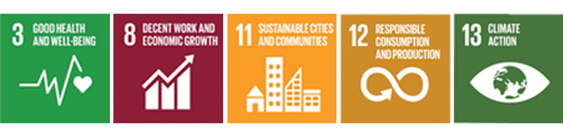 Sustainable Development Goals VN.jpg